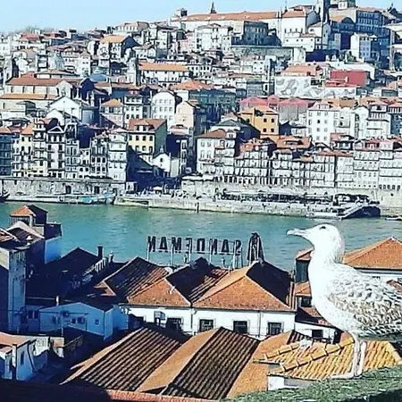 View Douro Porto Penthouse * Vila Nova de Gaia