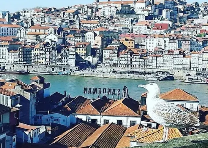 View Douro Porto Penthouse * Vila Nova de Gaia